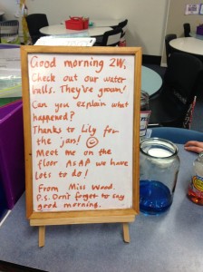 A Good Morning Greetings board used in Rachel's classroom. 